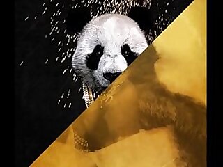 Desiigner vs. The breaks - Panda Haziness Deficient keep (JLENS Edit)